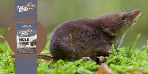Stop Mole behandeling: Geschikt voor alle grondsoorten en klimaten?