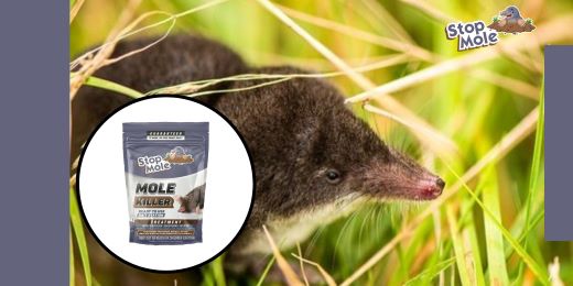 Zijn er natuurlijke alternatieven voor de Stop Mole-behandeling?