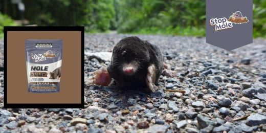 Wat zijn de natuurlijke methoden om moedervlekken weg te houden?